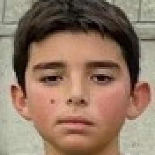 Ilyes